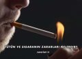 Tütün ve Sigaranın Zararları Nelerdir?
