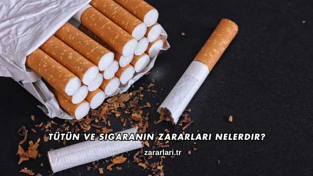 Tütün ve Sigaranın Zararları Nelerdir?
