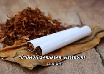 Tütünün Zararları Nelerdir?