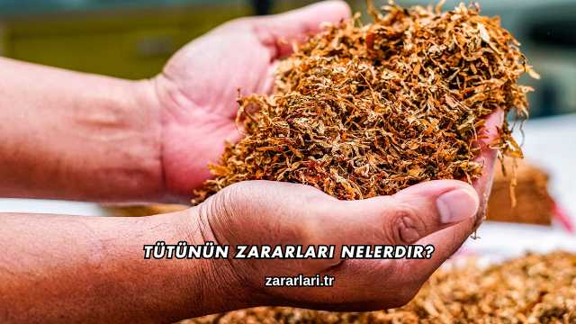 Tütünün Zararları Nelerdir?