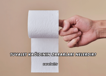 Tuvalet Kağıdının Zararları Nelerdir?