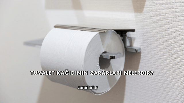 Tuvalet Kağıdının Zararları Nelerdir?