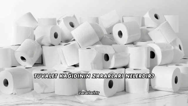 Tuvalet Kağıdının Zararları Nelerdir?