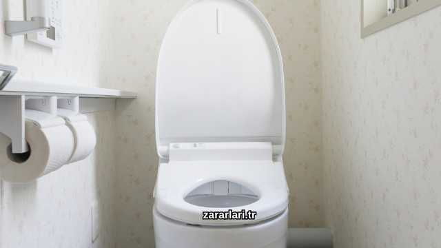 Tuvalette Uzun Süre Kalmanın Dinen Zararları Nelerdir?