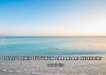 Tuzlu Deniz Suyunun Zararları Nelerdir?