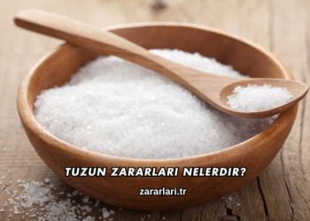 Tuzun Zararları Nelerdir?