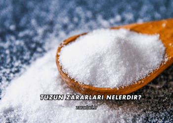 Tuzun Zararları Nelerdir?