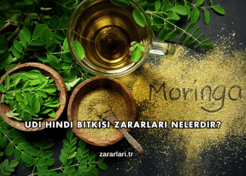 Udi Hindi Bitkisi Zararları Nelerdir?