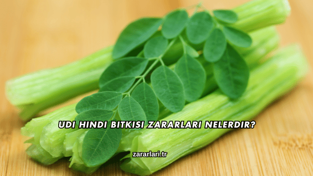 Udi Hindi Bitkisi Zararları Nelerdir?