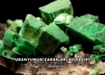 Uranyumun Zararları Nelerdir?