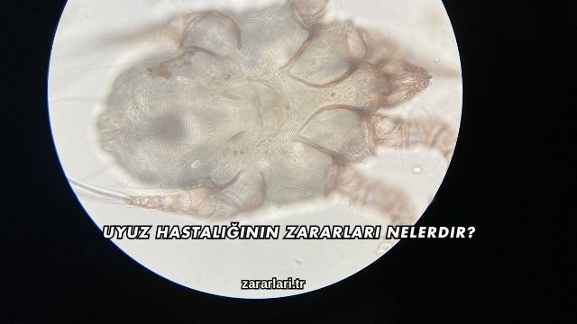 Uyuz Hastalığının Zararları Nelerdir?