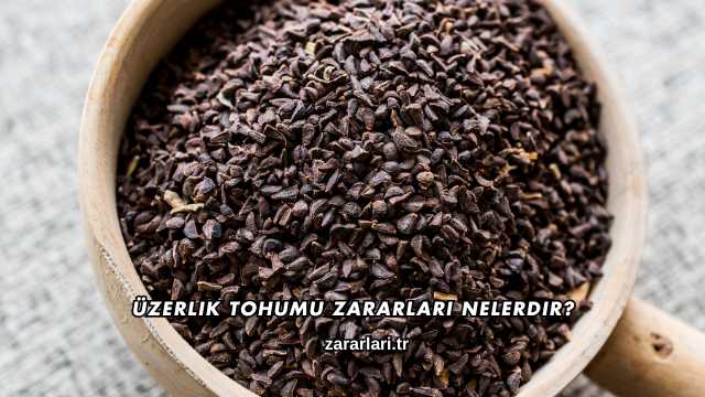 Üzerlik Tohumu Zararları Nelerdir?