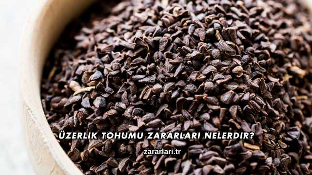Üzerlik Tohumu Zararları Nelerdir?