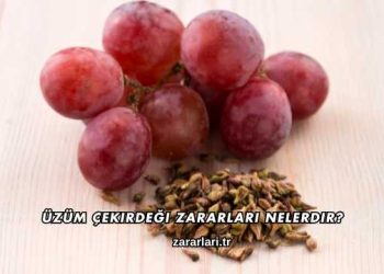Üzüm Çekirdeği Zararları Nelerdir?