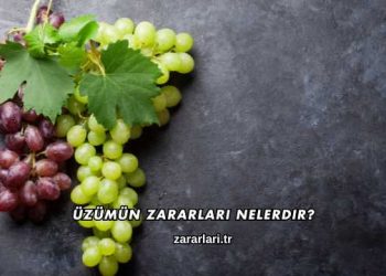 Üzümün Zararları Nelerdir?