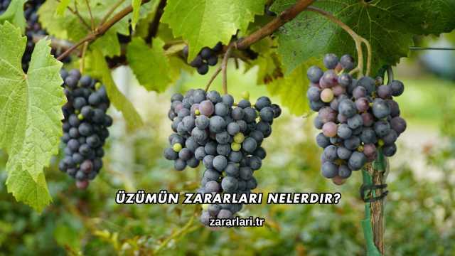 Üzümün Zararları Nelerdir?