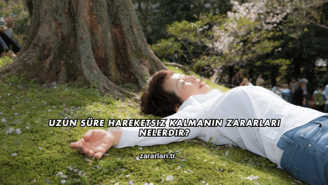 Uzun Süre Hareketsiz Kalmanın Zararları Nelerdir?