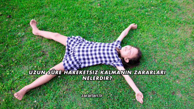 Uzun Süre Hareketsiz Kalmanın Zararları Nelerdir?