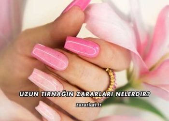 Uzun Tırnağın Zararları Nelerdir?