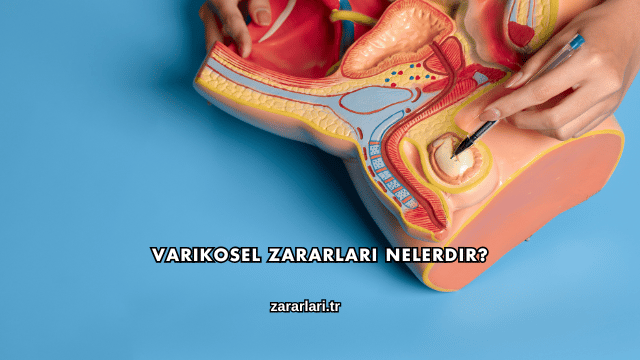 Varikosel Zararları Nelerdir?