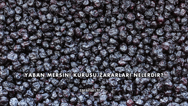 Yaban Mersini Kurusu Zararları Nelerdir?