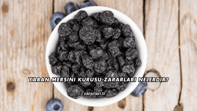 Yaban Mersini Kurusu Zararları Nelerdir?