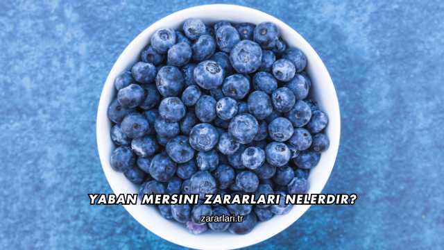 Yaban Mersini Zararları Nelerdir?