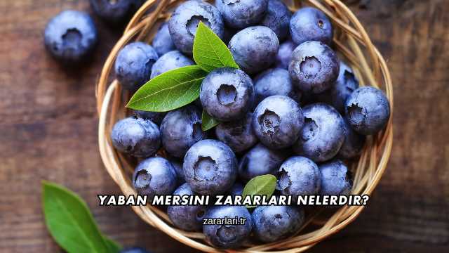 Yaban Mersini Zararları Nelerdir?