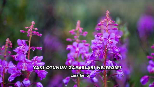 Yakı Otunun Zararları Nelerdir?