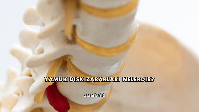 Yamuk Disk Zararları Nelerdir?