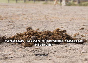 Yanmamış Hayvan Gübresinin Zararları Nelerdir?