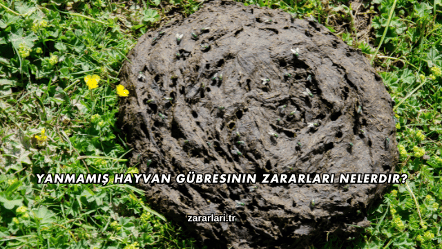 Yanmamış Hayvan Gübresinin Zararları Nelerdir?