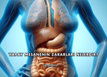 Yapay Mesanenin Zararları Nelerdir?