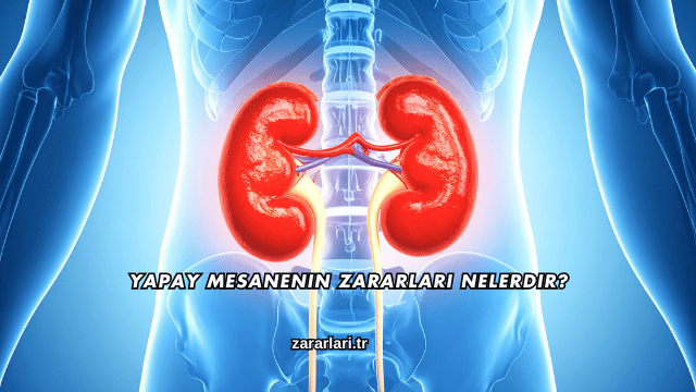 Yapay Mesanenin Zararları Nelerdir?