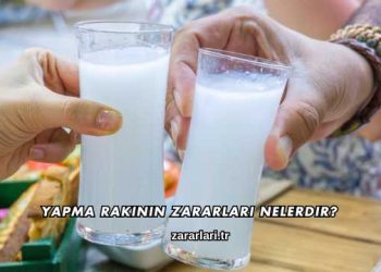 Yapma Rakının Zararları Nelerdir?