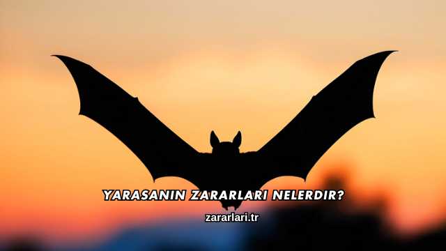 Yarasanın Zararları Nelerdir?