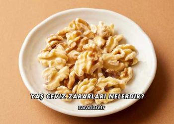 Yaş Ceviz Zararları Nelerdir?
