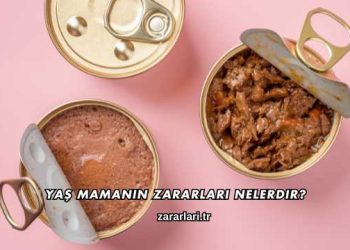 Yaş Mamanın Zararları Nelerdir?