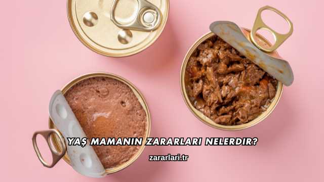 Yaş Mamanın Zararları Nelerdir?