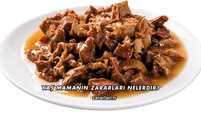 Yaş Mamanın Zararları Nelerdir?