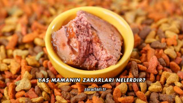 Yaş Mamanın Zararları Nelerdir?