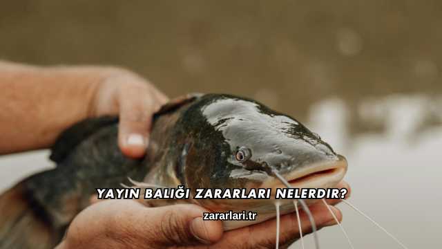 Yayın Balığı Zararları Nelerdir?