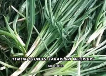 Yemlik Otunun Zararları Nelerdir?