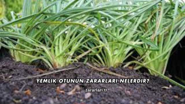 Yemlik Otunun Zararları Nelerdir?