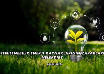 Yenilenebilir Enerji Kaynaklarının Zararları Nelerdir?