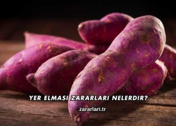 Yer Elması Zararları Nelerdir?
