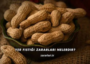 Yer Fıstığı Zararları Nelerdir?