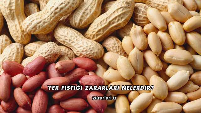 Yer Fıstığı Zararları Nelerdir?