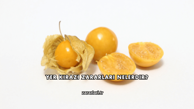 Yer Kirazı Zararları Nelerdir?