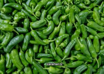 Yeşil Biberin Zararları Nelerdir?